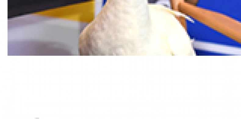 To Aflac, Big TV Buys Are Never Just A ‘One-Off’